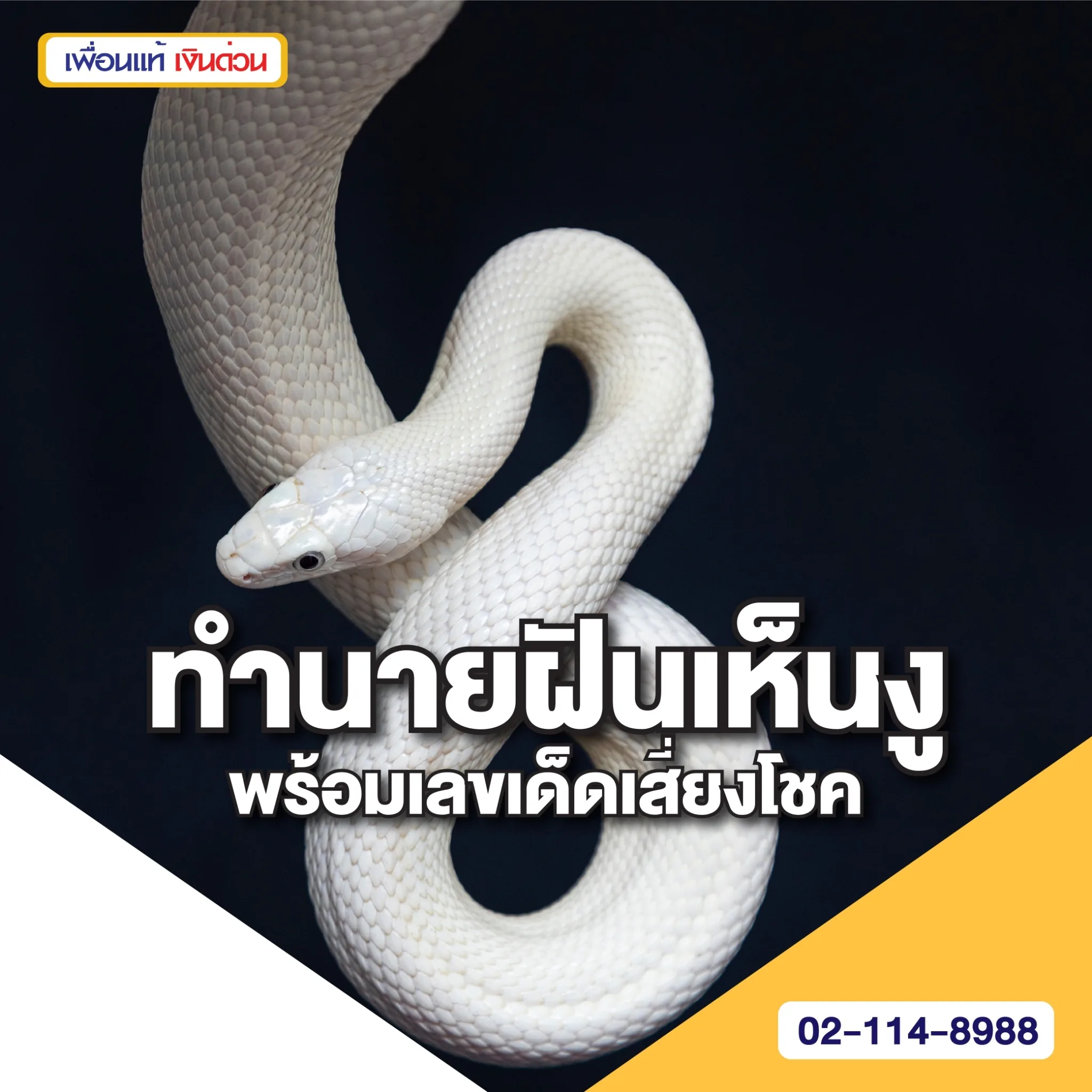 ทำนายฝันเห็นงู เป็นเรื่องดีหรือไม่ พร้อมเลขเด็ดเสี่ยงโชค