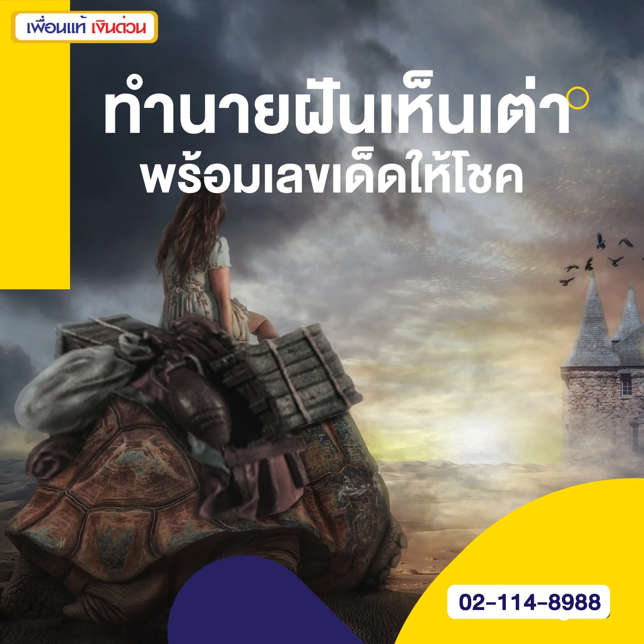 ทำนายฝันเห็นเต่า ความหมายอย่างไร พร้อมเลขเด็ดให้โชค