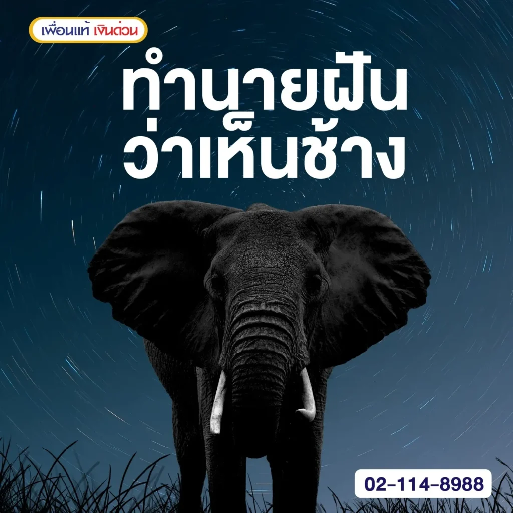 ฝันเห็นช้าง