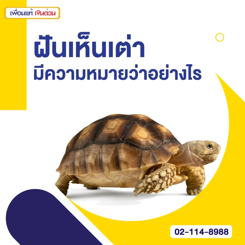 ฝันเห็นเต่า
