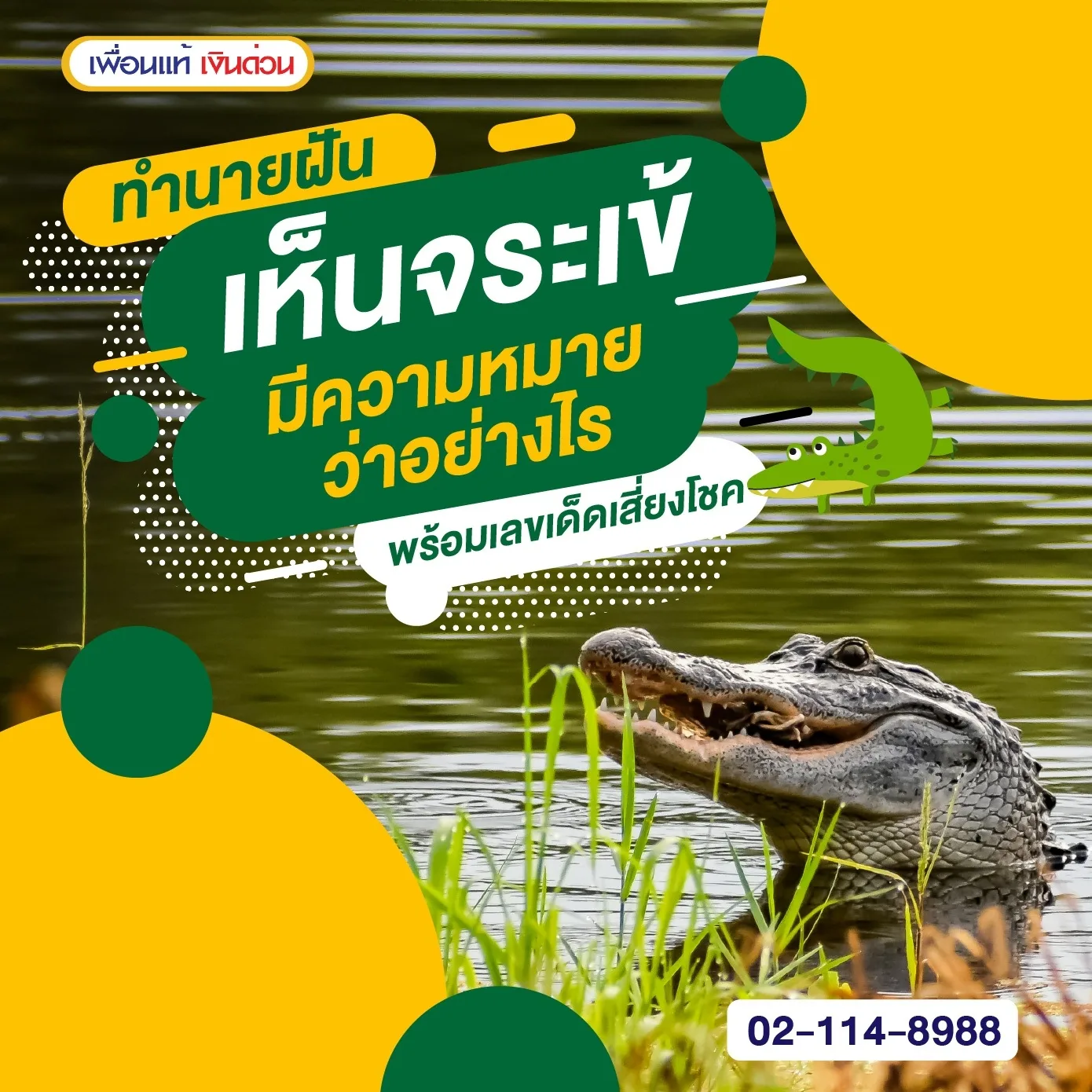 ทำนายฝันเห็นจระเข้ มีความหมายอย่างไร พร้อมเลขเด็ด