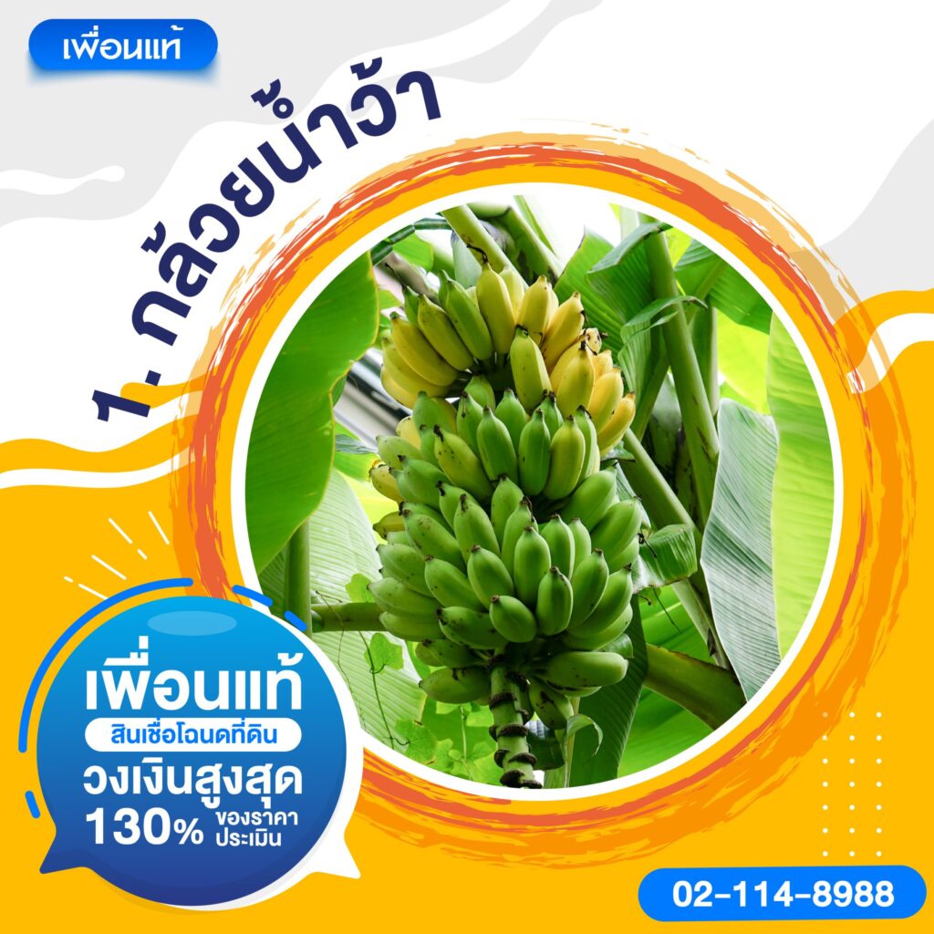 ผลไม้ไหว้แม่ย่านางรถ 5 อย่าง