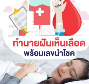 ฝันเห็นเลือด เป็นลางบอกเหตุดีหรือเหตุร้าย พร้อมเลขนำโชค