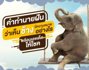 ฝันว่าเห็นช้างมีความหมายอย่างไร