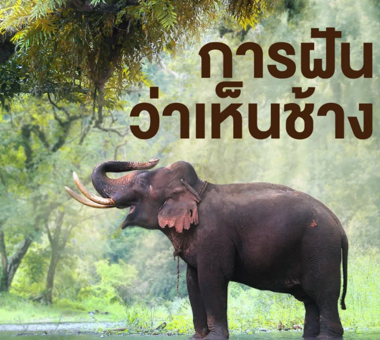 การฝันว่าเห็นช้าง