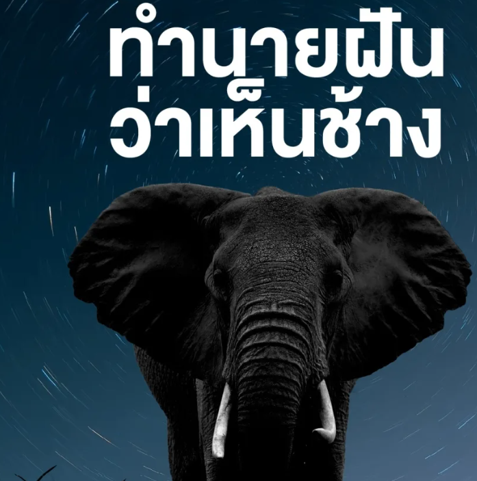ทำนายฝันว่าเห็นช้าง