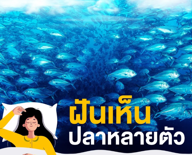 ฝันเห็นปลา